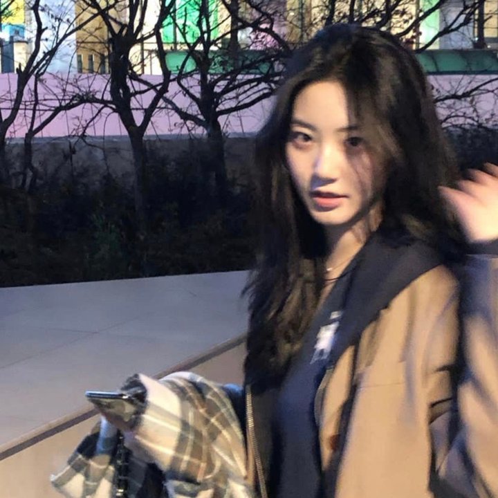 杏运封面