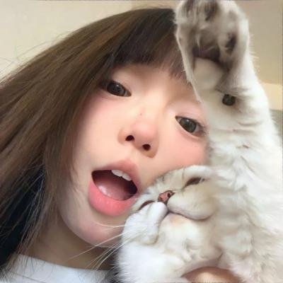 名门淑女封面